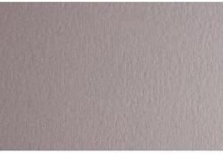 Fabriano Картон Colore, 50 x 70 cm, 200 g/m2, № 222, светлосив (42303222/2_PERLA)