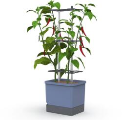 Gusta Garden CHARLY CHILY Standard önitató virágcserép, kék (GG-XL104710)