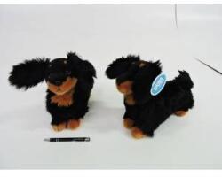 Dubi Dachshund standing 30cm