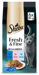 Sheba Fresh & Fine z zselé 6x50g tonhallal, lazaccal és fehér hallal, nedves macskaeledel