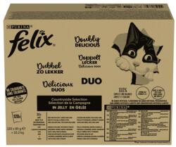 FELIX Fantastic DUO Mix Vidéki Ízek zselében 120x85g marha és baromfi, pulyka és máj, csirke és vese, kacsa és bárány, nedves macskaeledel