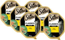 Sheba SHEBA Classics nedves macskaeledel csirkével terrinben 6x85g