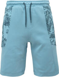 Willard Wacian (pms1s-26201-a)