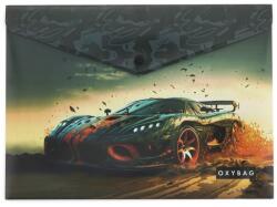 OXY Irattasak OXY patentos A/4 Car 2 (8-96025) - vectraline