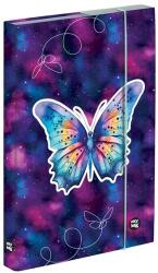 KARTON P+P Füzetbox OXY A/5 Butterfly (5-69025)