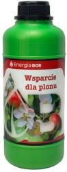  lombtrágya Energia Bór virágzás és gyümölcskötés (1 l)