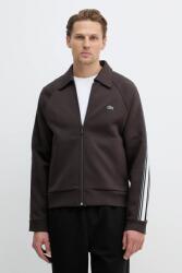 Lacoste felső - barna M