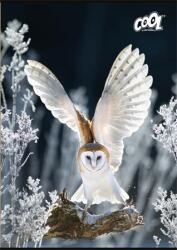 Victoria Füzet, tűzött, A4, sima, 80 lap, COOL BY VICTORIA Wise Wings (ISVFC125) - kellekanyagonline