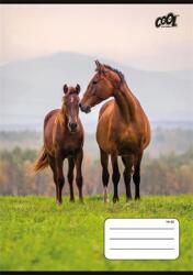 Victoria Füzet, tűzött, A5, vonalas, 32 lap, 1. osztály, COOL BY VICTORIA Free Spirit , 14-32 (ISVFC109)