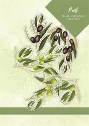 TopTimer Tanári zsebkönyv, 2026/2027 tanév, A5, heti, TOPTIMER, Olíva (27P100J-00C) - papir25