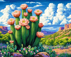 Alkotásutca Kaktuszvirág - Számfestő készlet kereten 40x50