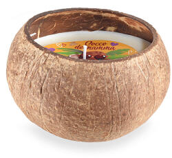 Decorer Lumanare parfumata in coaja, aroma Nuca Cocos, Palmier Ø 10, 5 cm x 7, 5 H (A14.15.22C)