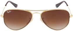 Ray-Ban RJ 9506S 223/13 52