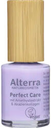 Alterra Perfect Care körömápoló /02 amethyst - 1 db