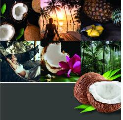 Yankee Candle Gyertya Fekete Kókuszos Signature Közepes