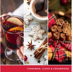 Yankee Candle Gyertya Szénsavas Fahéj Signature Közepes