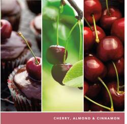 Yankee Candle Gyertya Fekete Cseresznye Signature Közepes