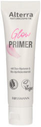 Alterra Glow primer