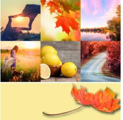 Yankee Candle Gyertya őszi Naplemente Signature Közepes