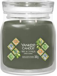 Yankee Candle Olíva és Ciprusz Gyertya, Közepes