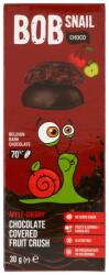 Bob Snail gyümölcs snack étcsokoládé, alma, meggy - 30 g