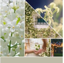 Yankee Candle Gyertya Midnight Jázmin Signature Nagy