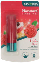 Himalaya ajakbalzsam licsis - 4, 5 g