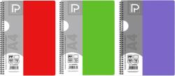 PAPERLAND Caiet A4 cu spira Paperland, 100 file, 70g/mp, dictando, coperta plastic, Diverse culori (PP-24800033)
