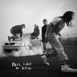 The Scratch - Pull Like A Dog (CD) (0198029926620)