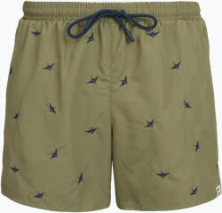 Aeronautica Militare Pantaloni scurți de baie pentru bărbați Aeronautica Militare BW0232UCT04317 lichen green