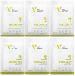 VetExpert VETEXPERT Recovery Cat - nedves állatorvosi táplálék macskáknak, 6x100 g