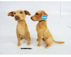 Dubi Sitting pointer 44cm