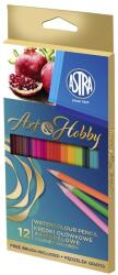 Astra Színes ceruza ASTRA Art&Hobby fémdobozos ajándék ecsettel 12 színű (312025002) - vectraline