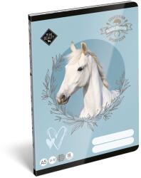 LIZZY Füzet vonalas LIZZYSULI A/5 32 lapos 12-32 3. osztályos Wild Beauty Sport Club (7500169004) - vectraline