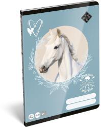 LIZZY Füzet sima LIZZYSULI A/5 32 lapos 20-32 Wild Beauty Sport Club (7500172004) - vectraline