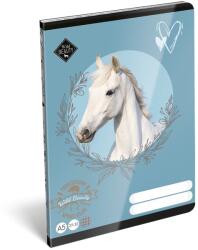 LIZZYSULI Füzet kockás LIZZYSULI A/5 32 lapos 27-32 Wild Beauty Sport Club (7500171004) - vectraline