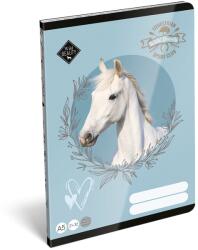 LIZZY Füzet vonalas LIZZYSULI A/5 32 lapos 21-32 4-8. osztályos Wild Beauty Sport Club (7500170004) - vectraline