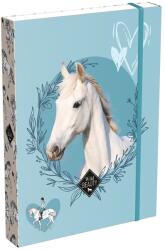 LIZZY Füzetbox LIZZYSULI A/5 Wild Beauty Sport Club (7470217004) - vectraline