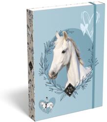 LIZZYSULI Füzetbox LIZZYSULI A/5 Wild Beauty Sport Club (7470217004) - vectraline