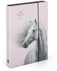 KARTON P+P Füzetbox OXY A/5 Jumbo Horse Romantic (5-71026) - tonerpiac