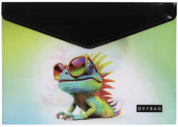 Oxy Irattasak OXY patentos A/4 Chameleon (8-96626) - robbitairodaszer