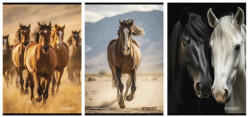 STREET Füzet kockás STREET A/4 54 lapos Horses (67582) - robbitairodaszer