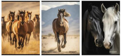 STREET Füzet sima STREET A/4 54 lapos Horses (67583) - robbitairodaszer