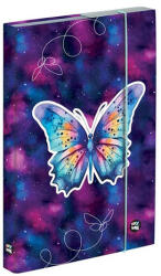 KARTON P+P Füzetbox OXY A/4 Butterfly (3-75625) - robbitairodaszer