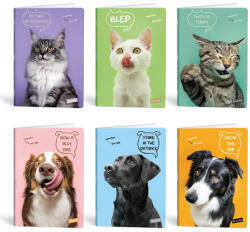 Mar-Mar Füzet kockás LIPAMILL A/4 40 lapos Pets (1211638884) - robbitairodaszer