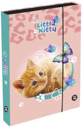 KARTON P+P Füzetbox OXY A/4 Jumbo Cat (1-39526) - robbitairodaszer