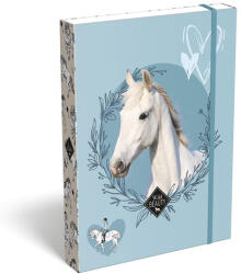 LIZZY Füzetbox LIZZYSULI A/5 Wild Beauty Sport Club (7470217004) - robbitairodaszer