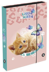 KARTON P+P Füzetbox OXY A/5 Jumbo Cat (1-38026) - fotoland