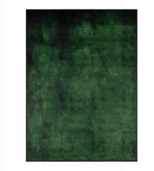 StandHeiz Szőnyeg 120X170 CM Nappaliba Csúszásgátló Zöld Üveg Sötét Zöld (5904506134717)