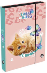 KARTON P+P Füzetbox OXY A/4 Jumbo Cat (1-39526) - papir-bolt